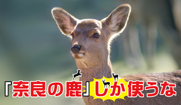「奈良の鹿」しか使うな